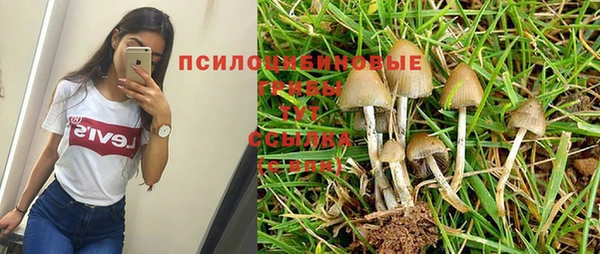 СК Осташков
