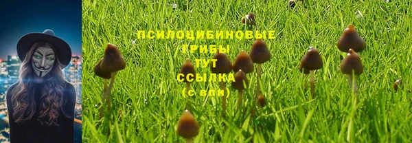 трава Валдай