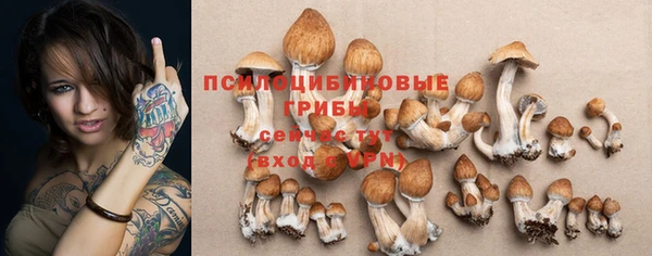тгк Нязепетровск