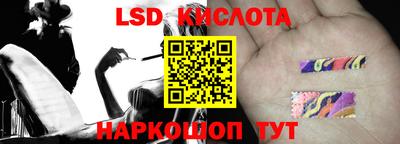 PSILOCYBIN Гусев