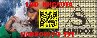 шишки Берёзовский