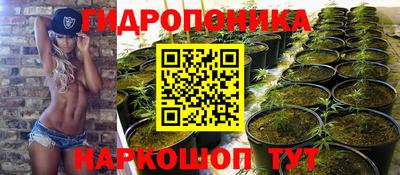PSILOCYBIN Гусев