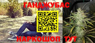 PSILOCYBIN Гусев