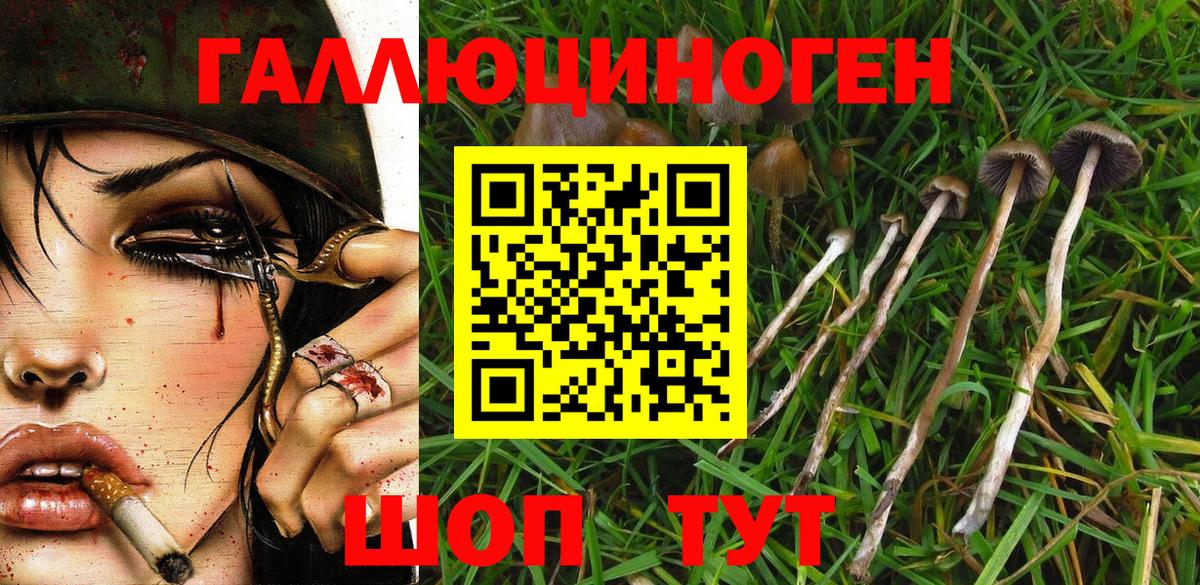 Новокузнецк  Галлюциногенные грибы ЛСД  Вход с VPN 